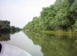 Pescuit la crap in Delta Dunarii
