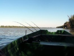 Pescuit la crap in Delta Dunarii - Chilia
